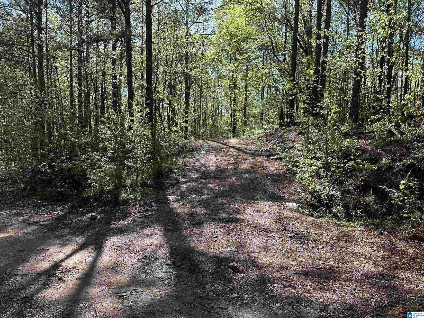 0 COUNTY Rd 480  