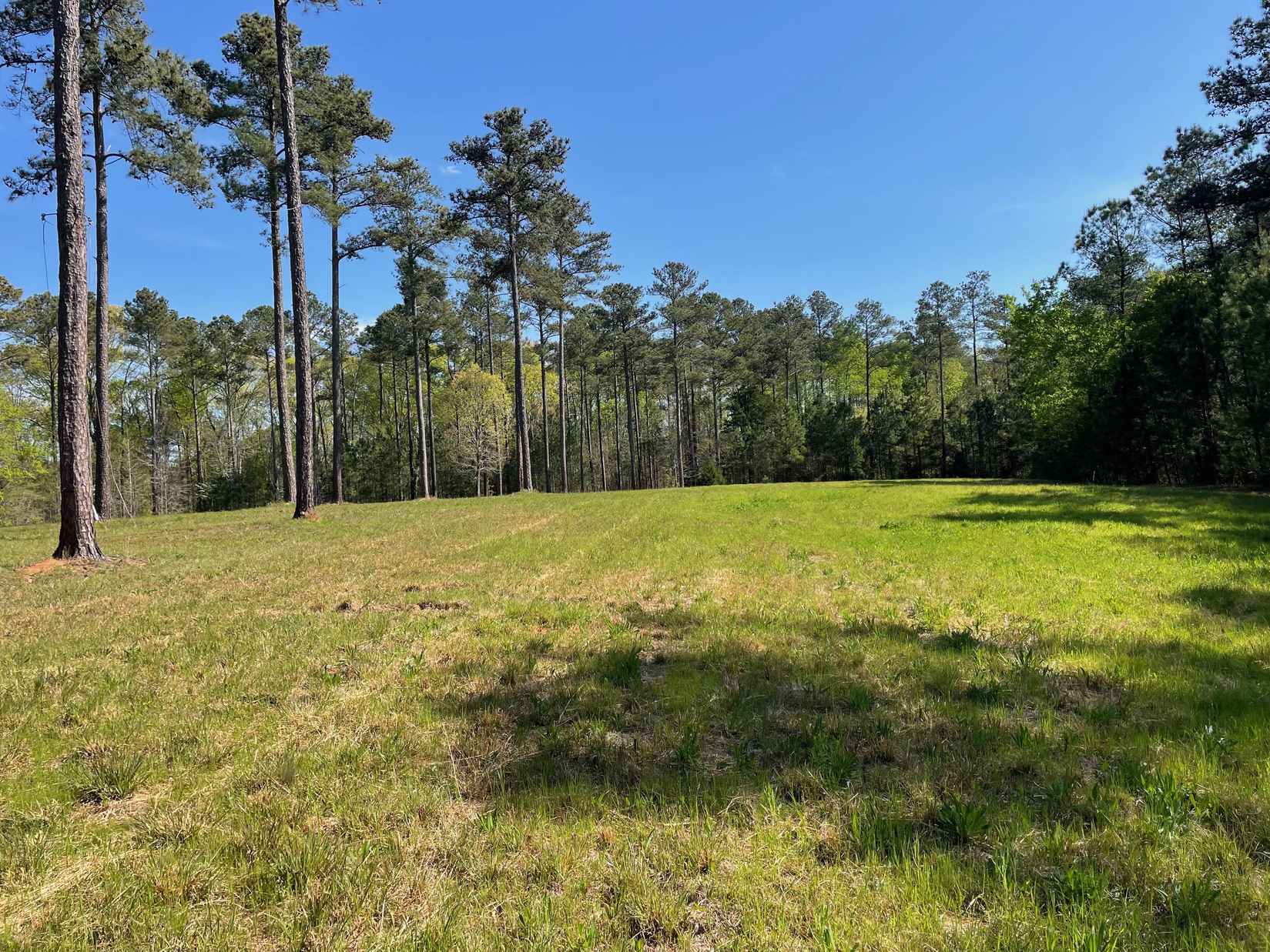 1618 Hulmes Chapel Rd  