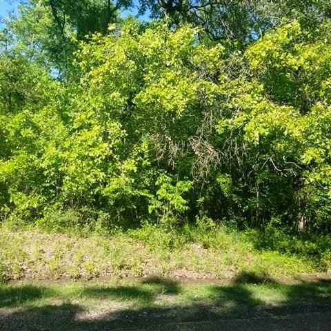 0 Alamo Rd  