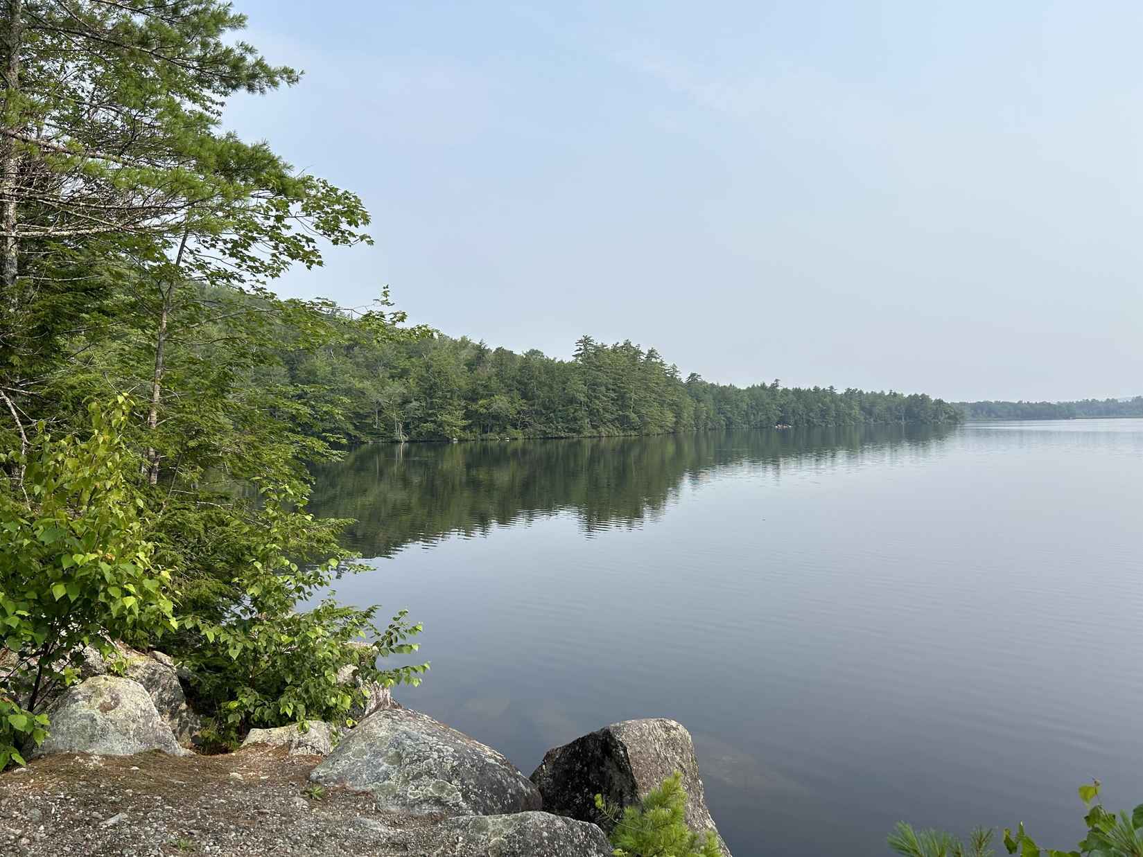 Lot 12-4 McNulty Ln  