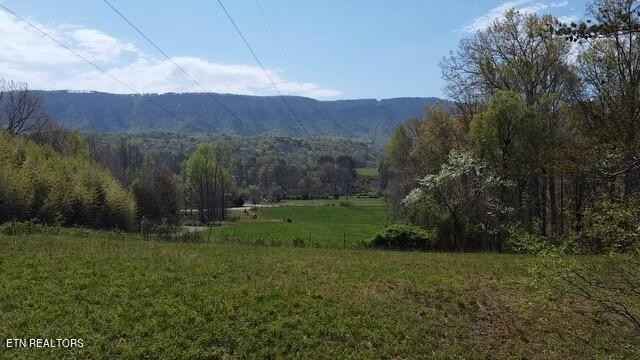 21 364 Acres Knob Rd  