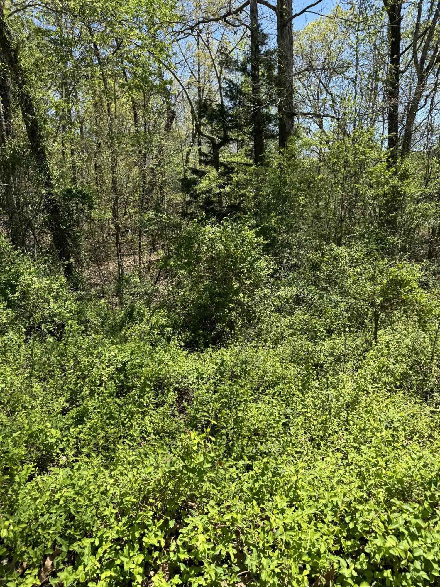 22 Hidden Ridge Loop  