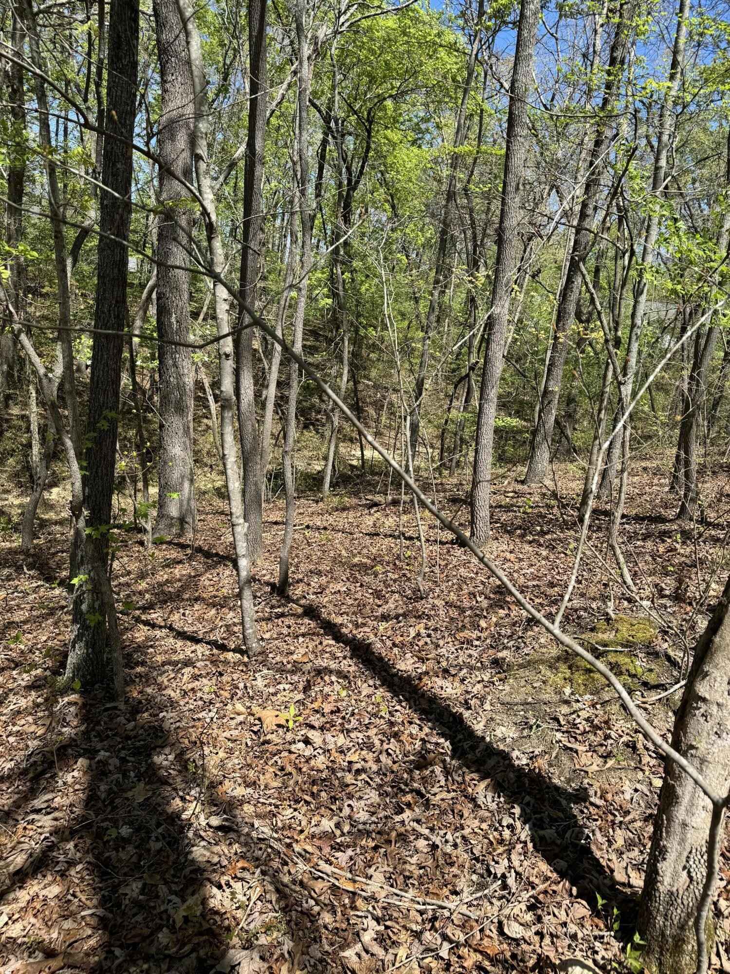 29 Hidden Ridge Loop  