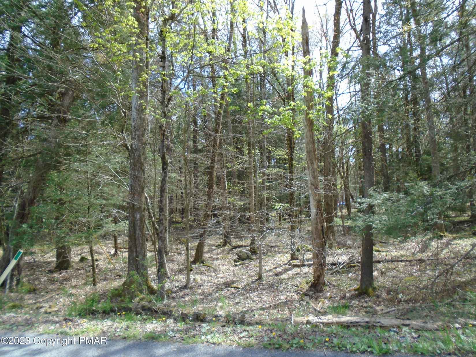 163 King Arthur Rd  