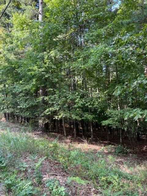 Lot 959 Spruce DR  