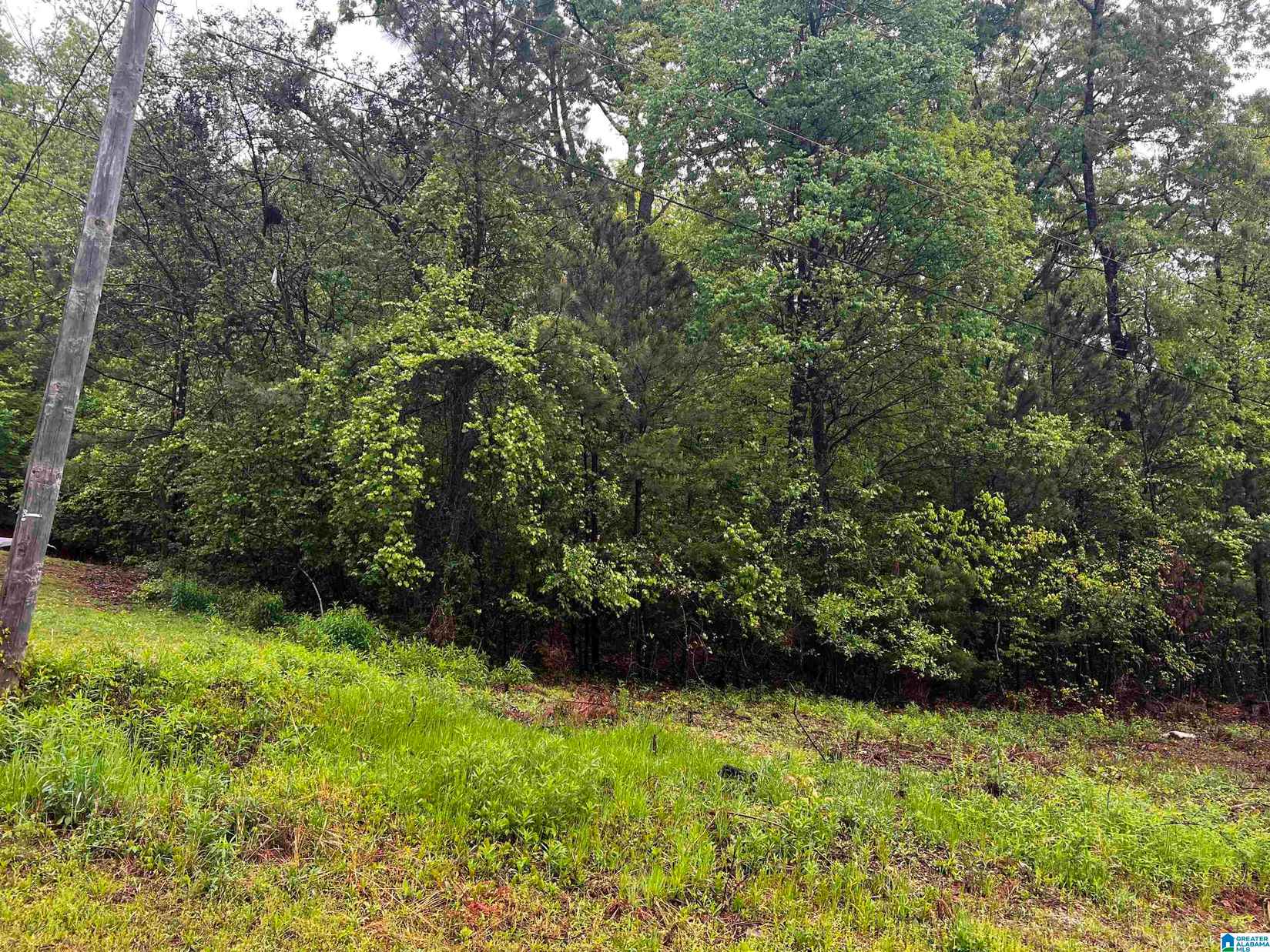 lot 8 Cason Lane Unit# 8  