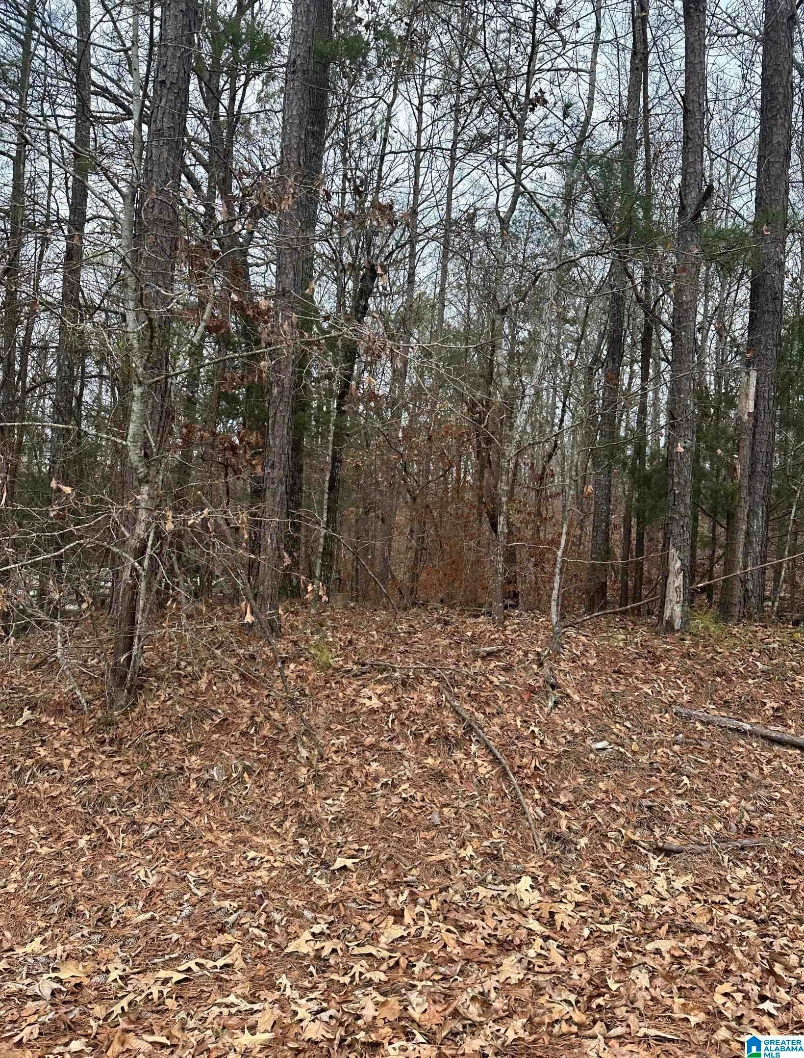 00 Water Oak Lane Unit# 29  