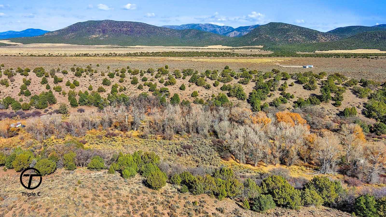 Parcel Unit 01-0141-0005  