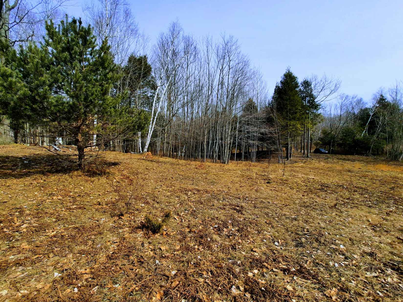 Lot 47 Smith Rd  