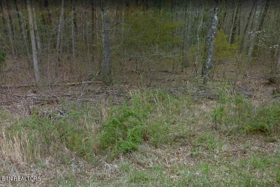 4229 Chica Rd  