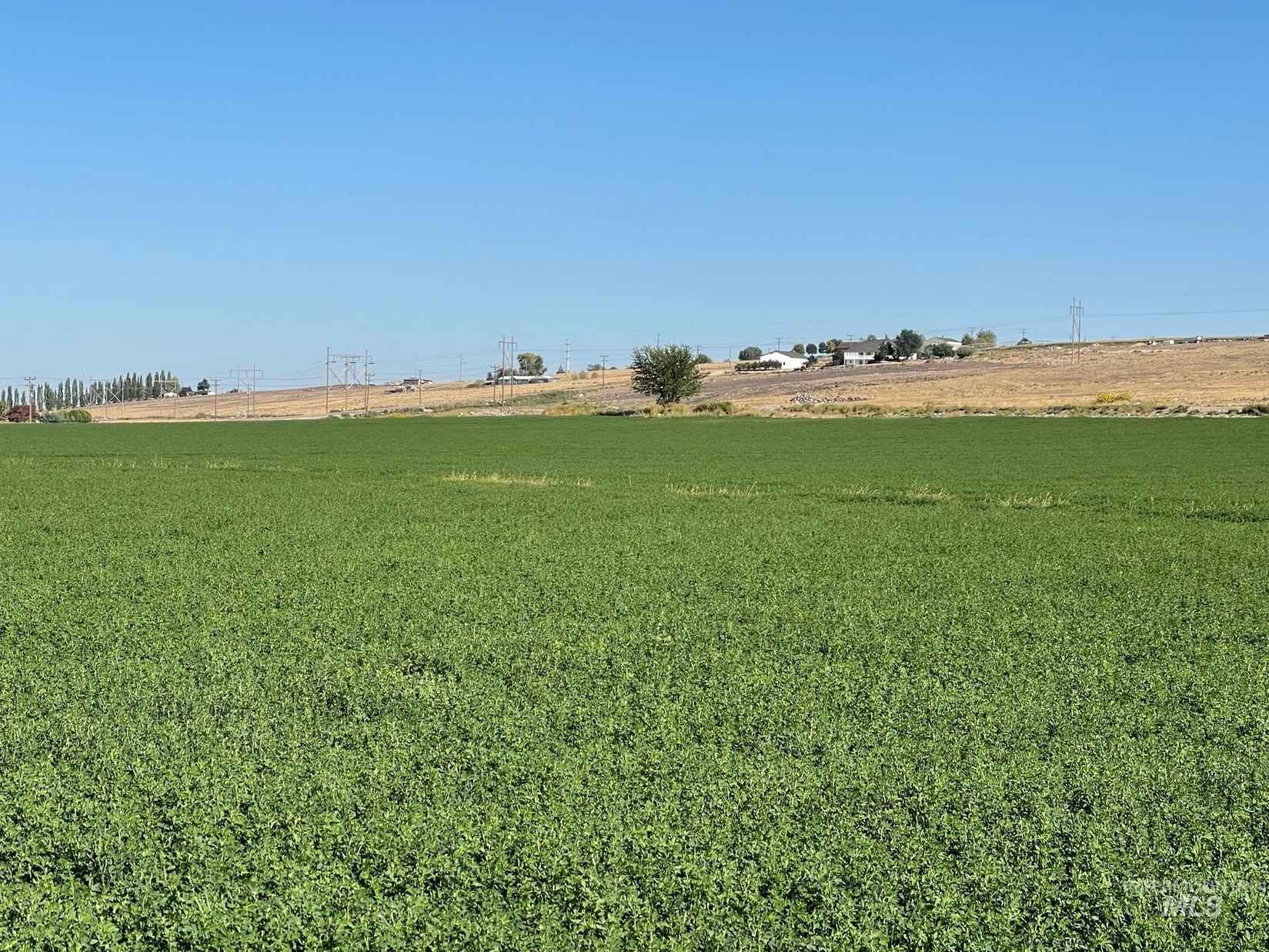 Tbd Parcel 1 Melmont Rd  