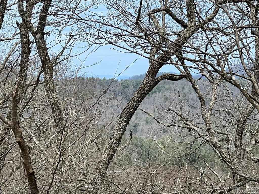 53-A Lower Brushy Face Rd  