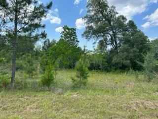 Lot 32 Riggins Rd  