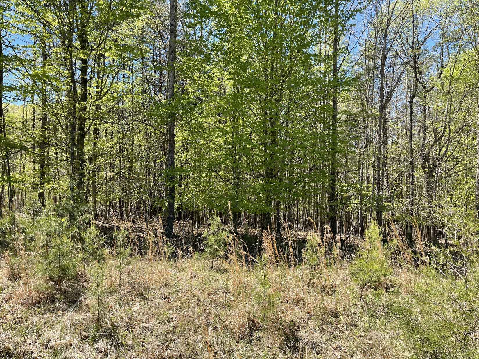 Lot 13 Tarragon Way  