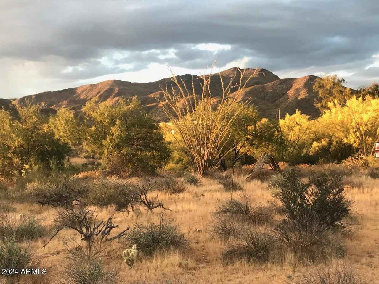 39005 N CRESTED QUAIL Run  