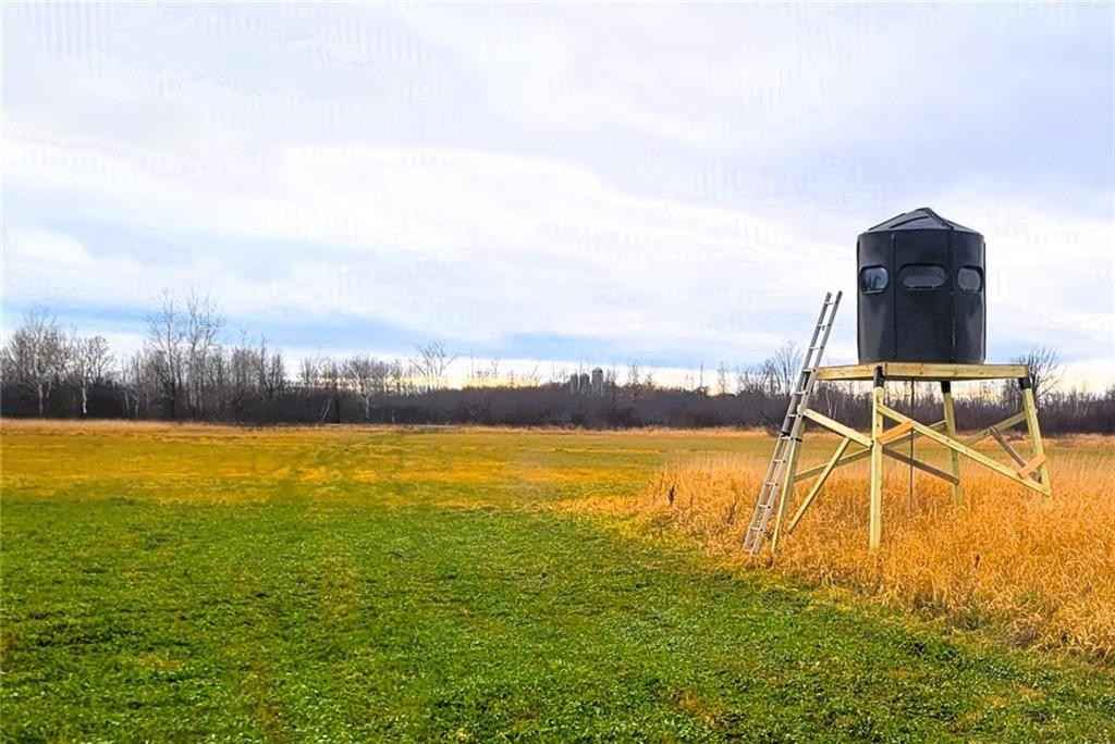 25 Acres On Progressive Rd  