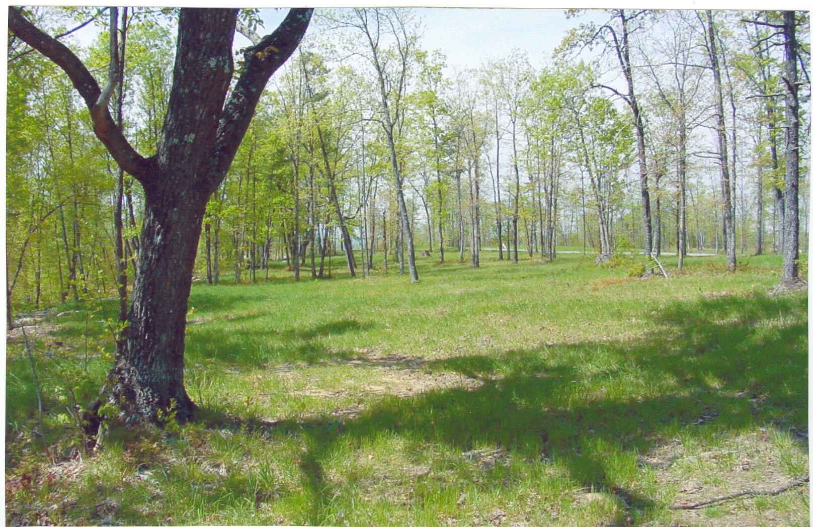 Lot 22 Greenfields Way S  