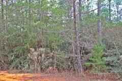 0 E Laurel Ln  