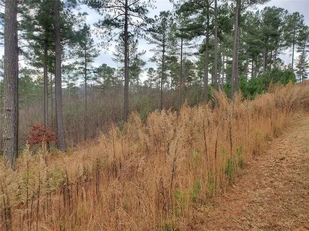 129 The Stables Loop  