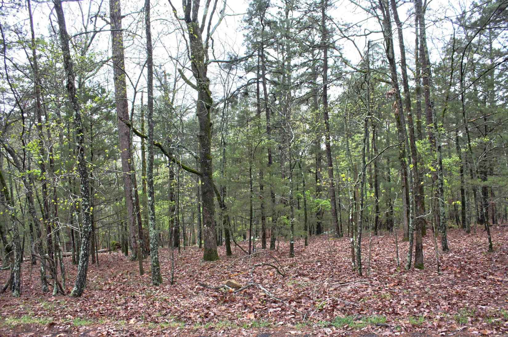 00 Genie Lane - Lot 031 Replat  