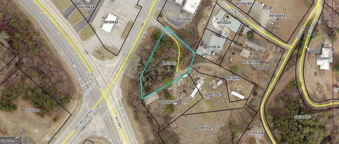 0 Little Poplar Dr and 441  