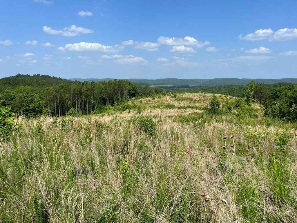 00 County Rd 53  