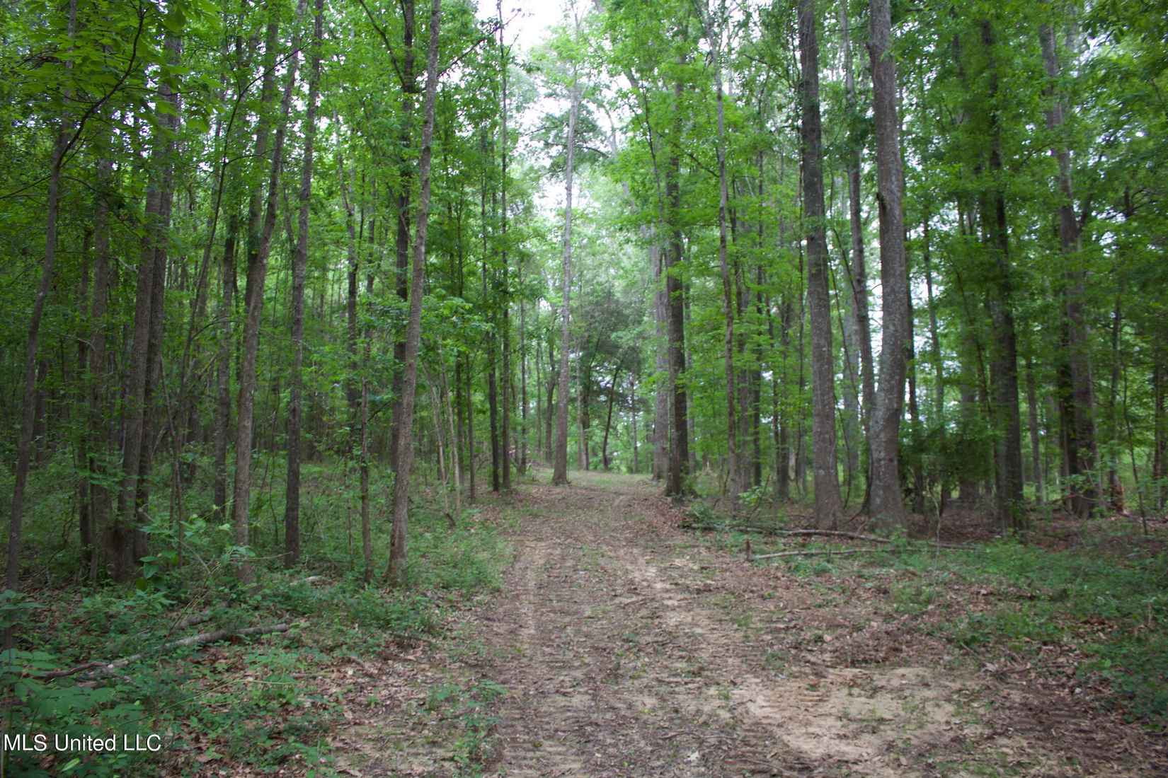 0 Morton-Rankin County Line Rd  