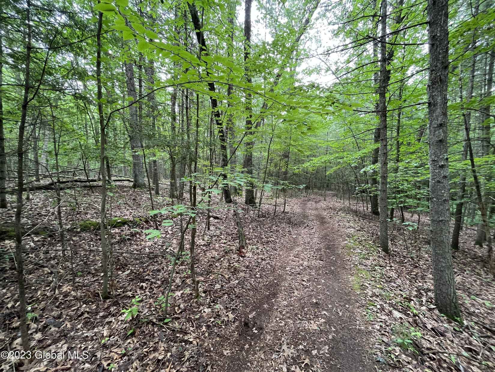 L19 22 Homestead Rd  