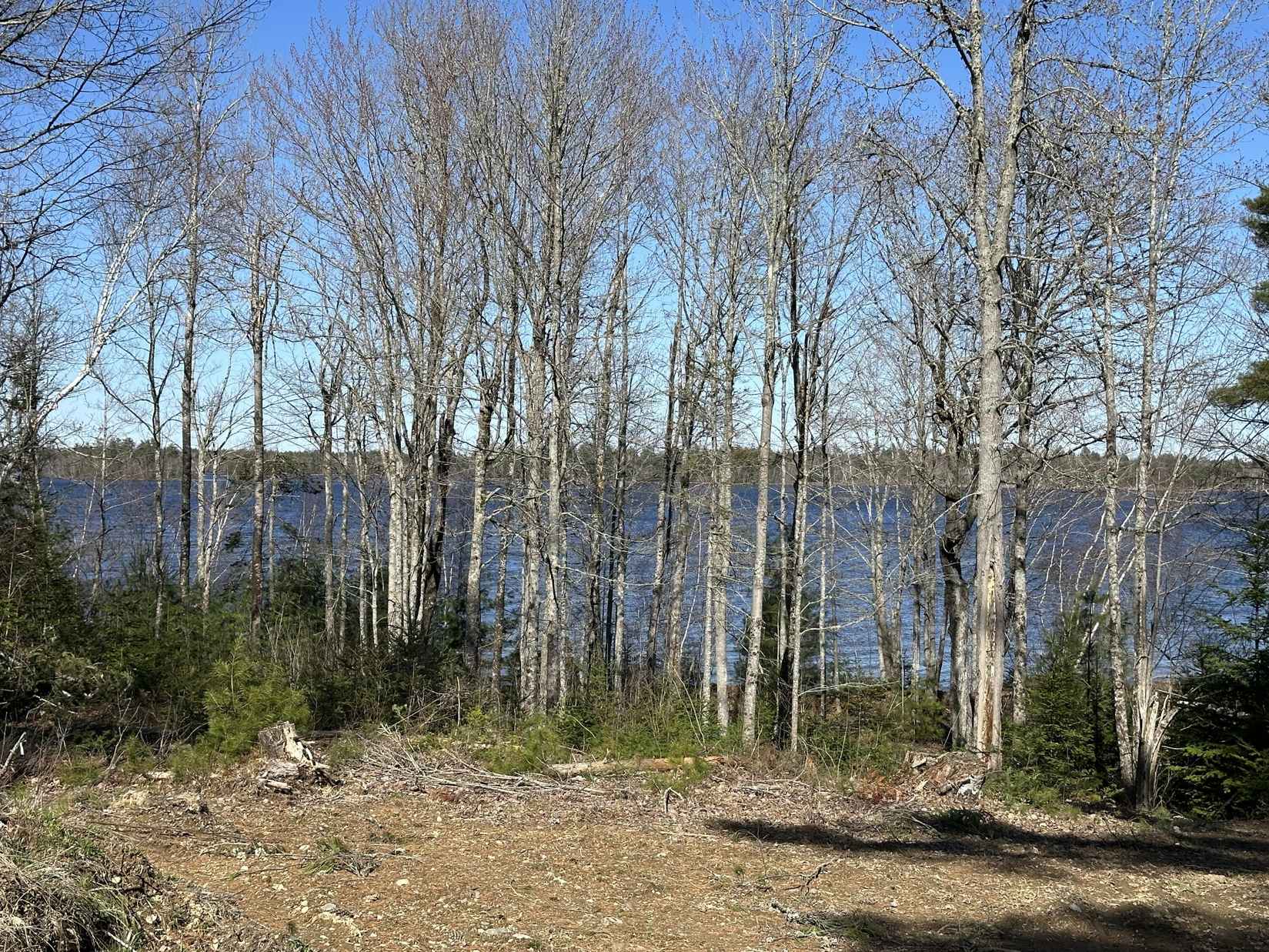 114 LAMB FARM RD  