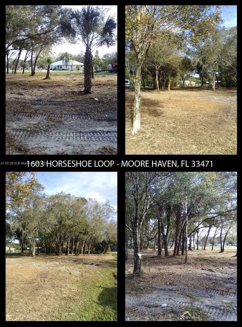 1603 Horseshoe Loop  