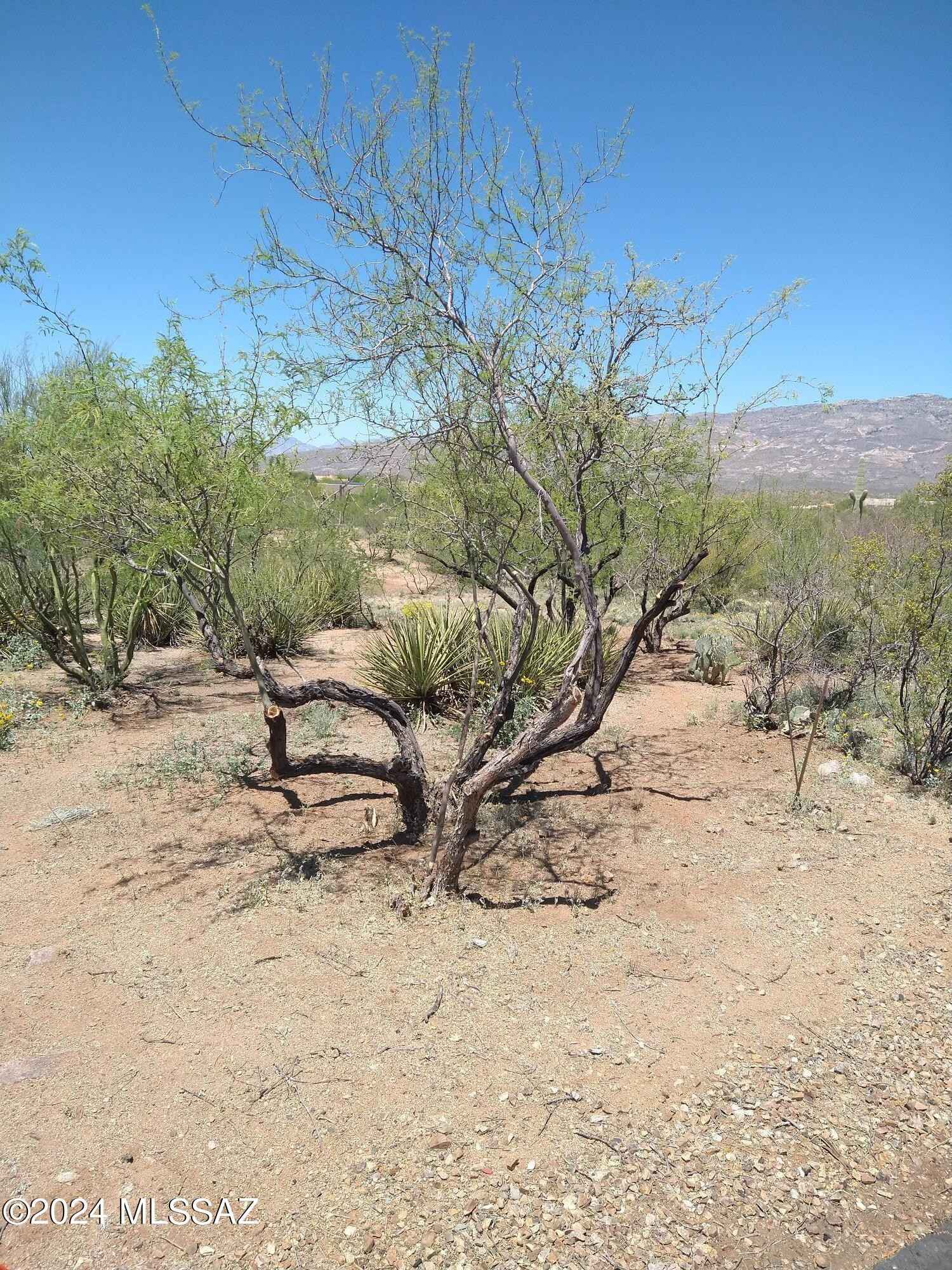 8616 S Sun Bar Rnch Pl  