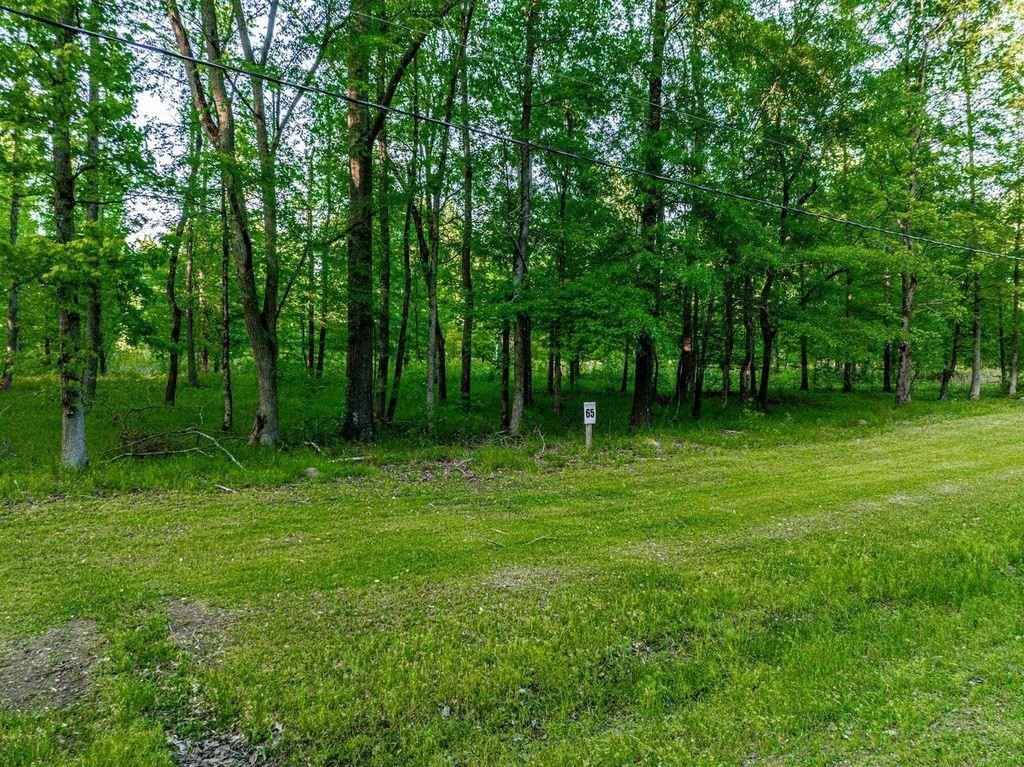 Lot 65 PARKS Fry DR  