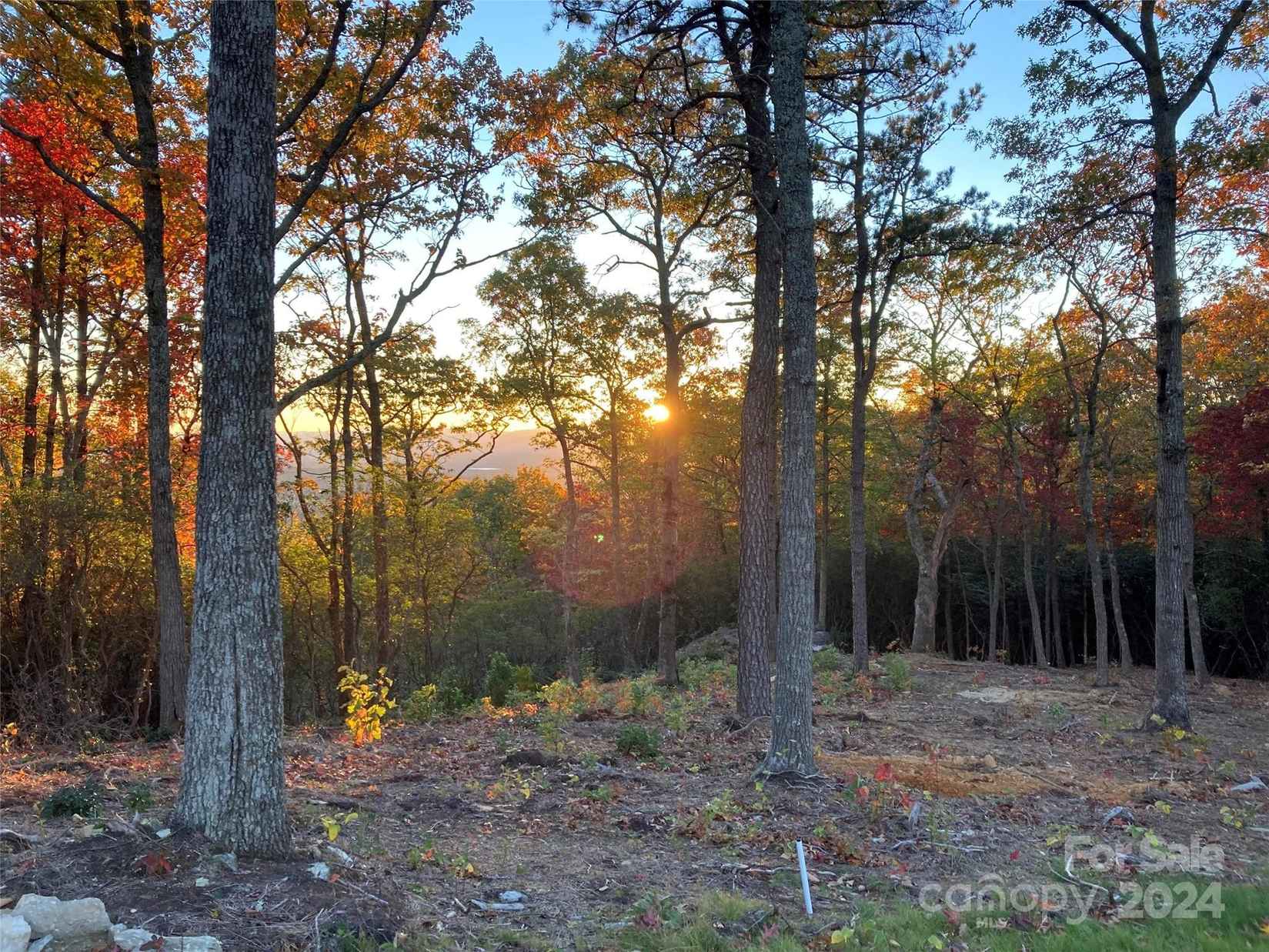 9999 Mountain Grv Ln  