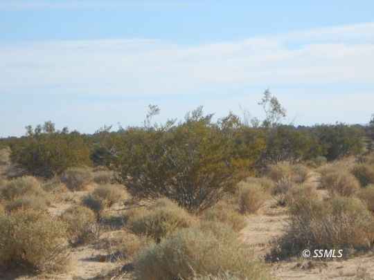 341-160-28 Calamar so of Bowman rd  