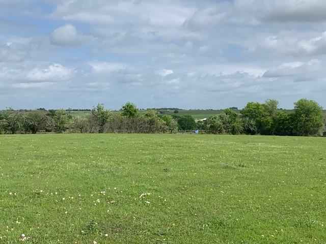 2 730 Ft of US HWY 290 Commercial Frontage  