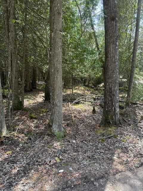 1 09ac Stoney Pt RD  