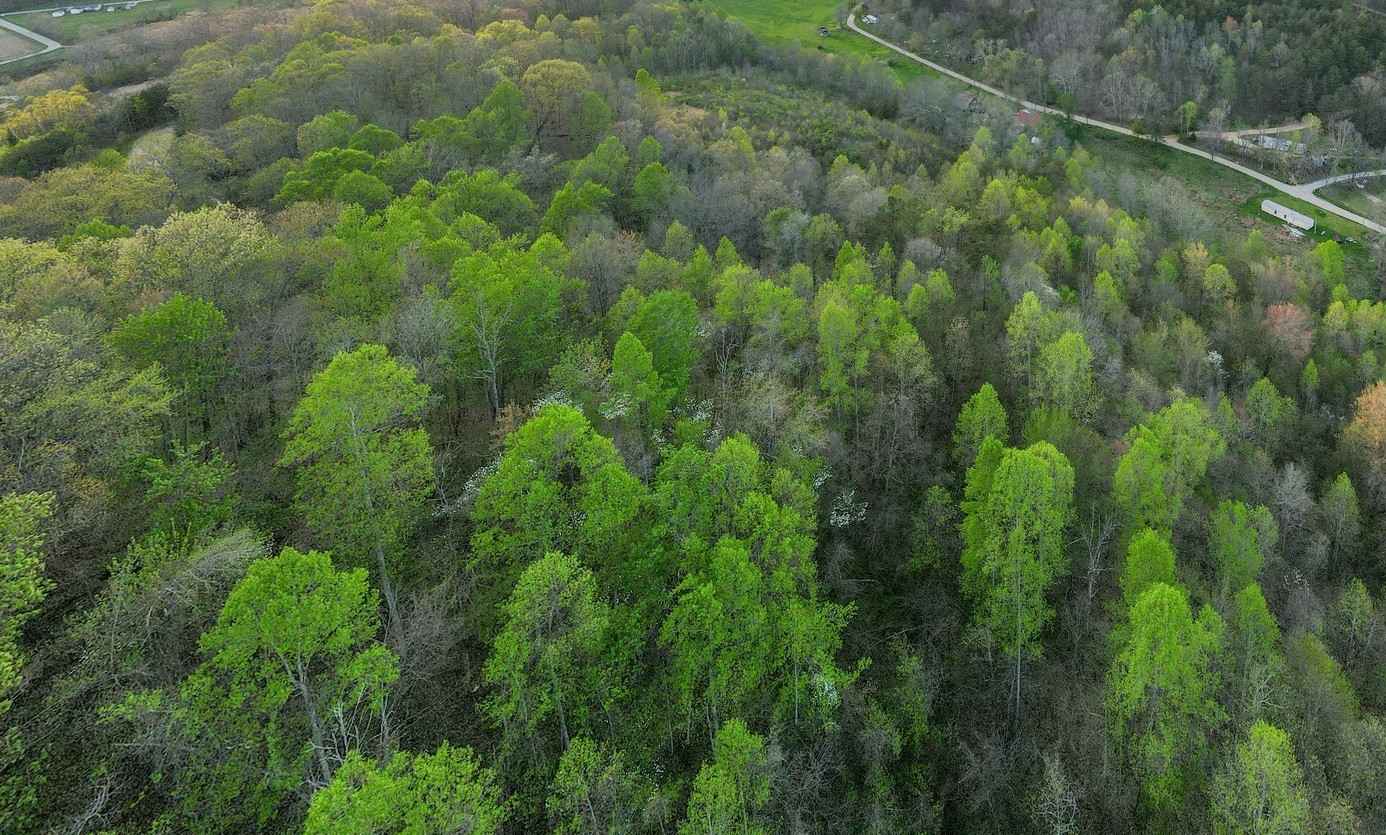 9999 Taylor School Rd  