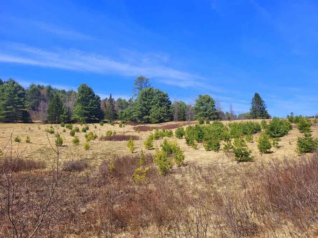 Lot 26-3-1 Kennebec Riv Rd  