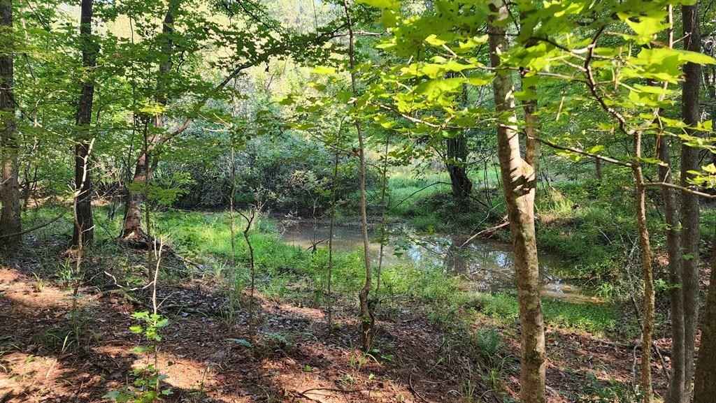 Lot Size 137 36 LOWER BLUE Spgs Rd  