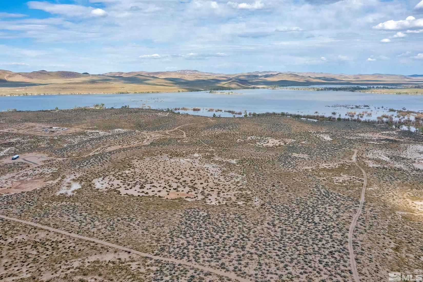 Elderberry Parcel 01722703  