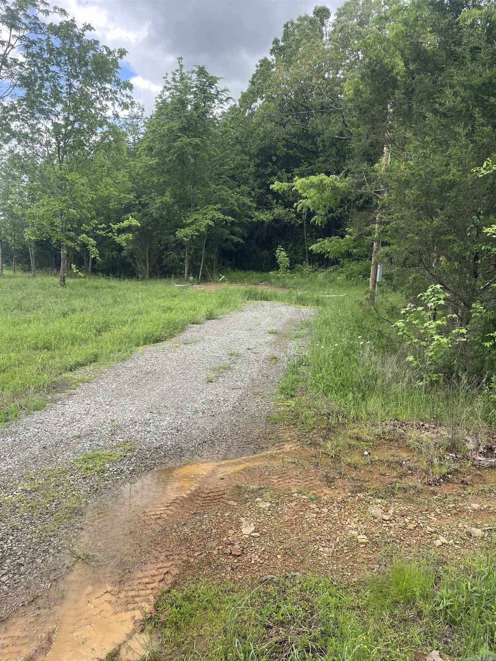 119 willie b Hollaman Rd  