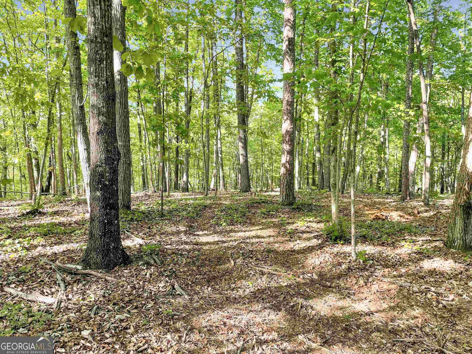 5323 Cedartown Hwy  