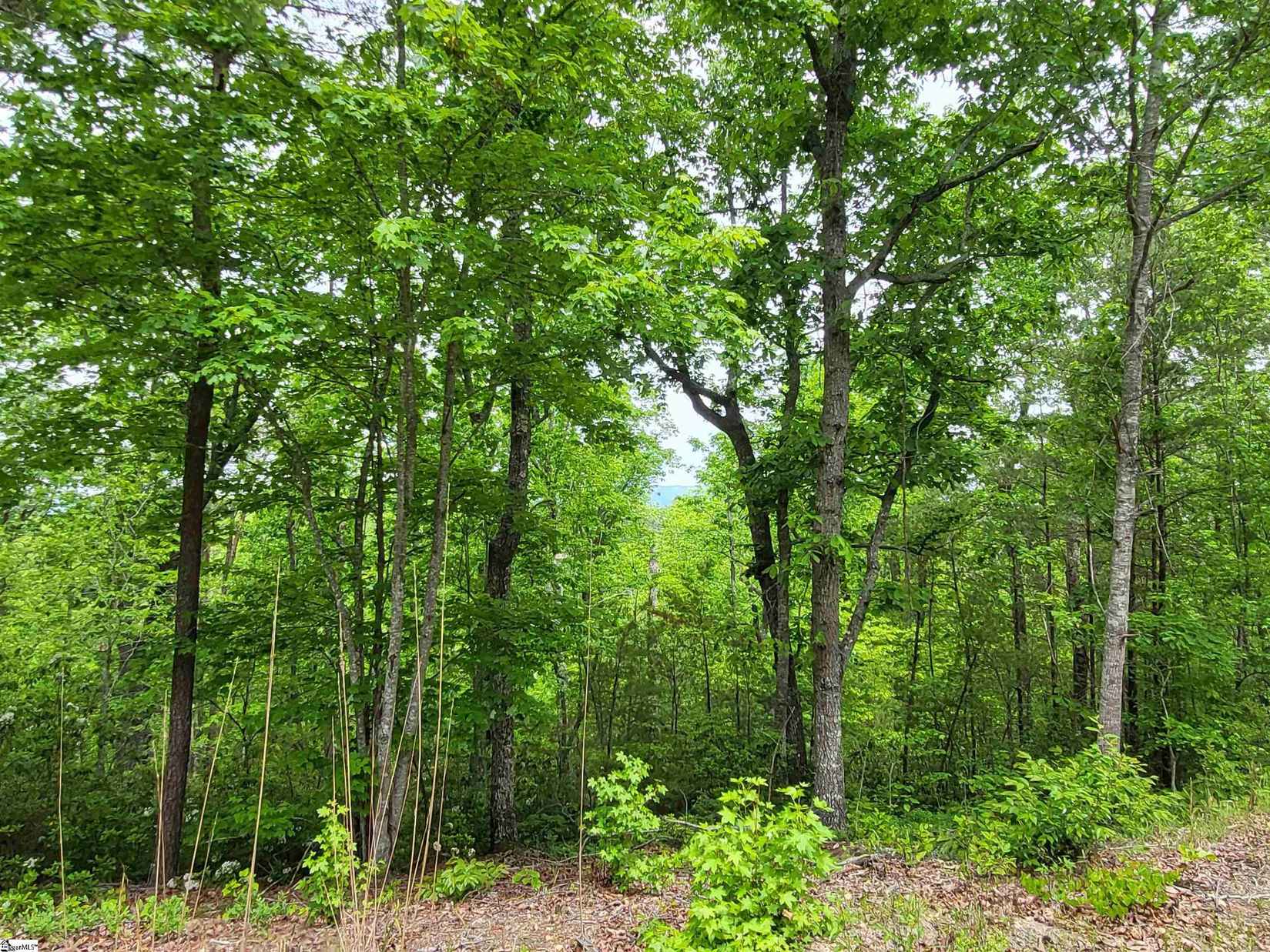 1140B Packs Mountain Rdg Rd  