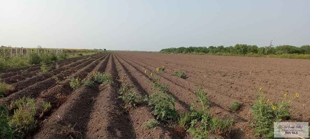 10 00 Acres N MILE 4  