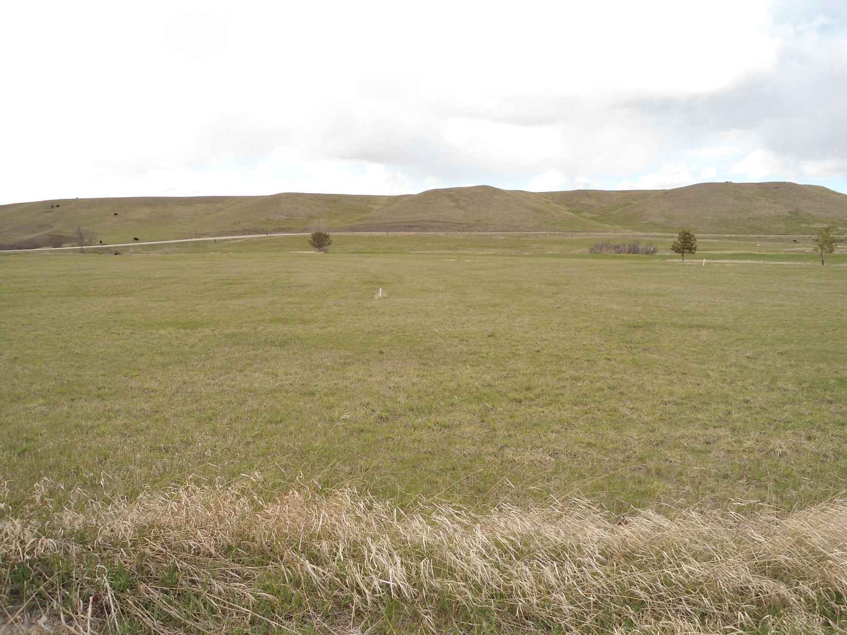 Lot 05b Southern Shadows DR  
