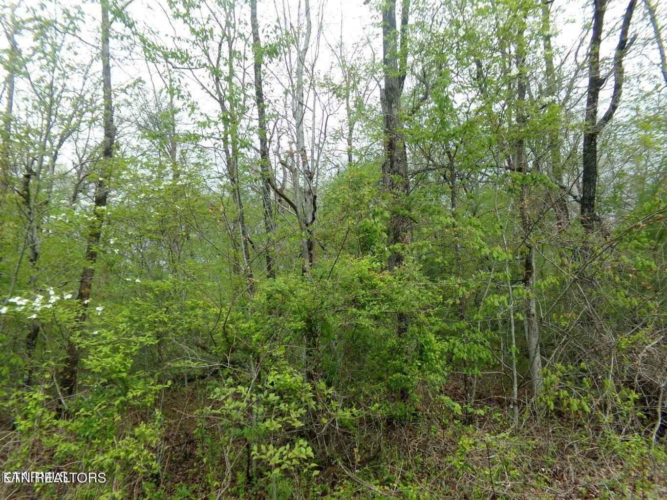 809 Ojibwa Ln  