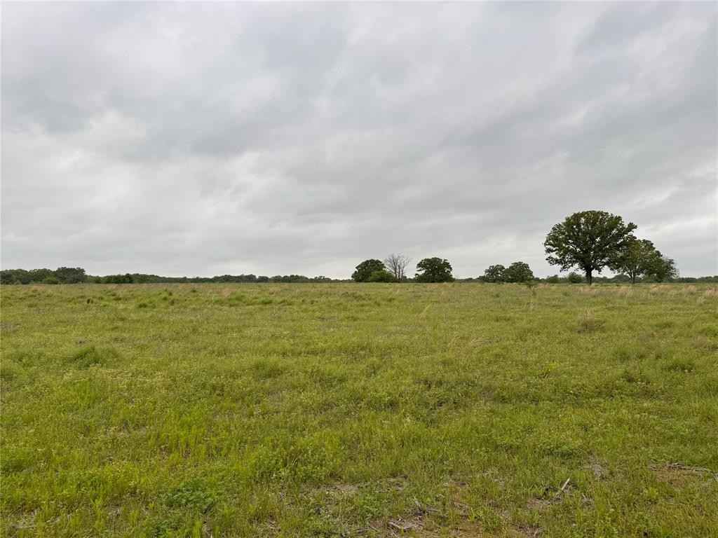 Lot 6 Rains County Rd 2610  