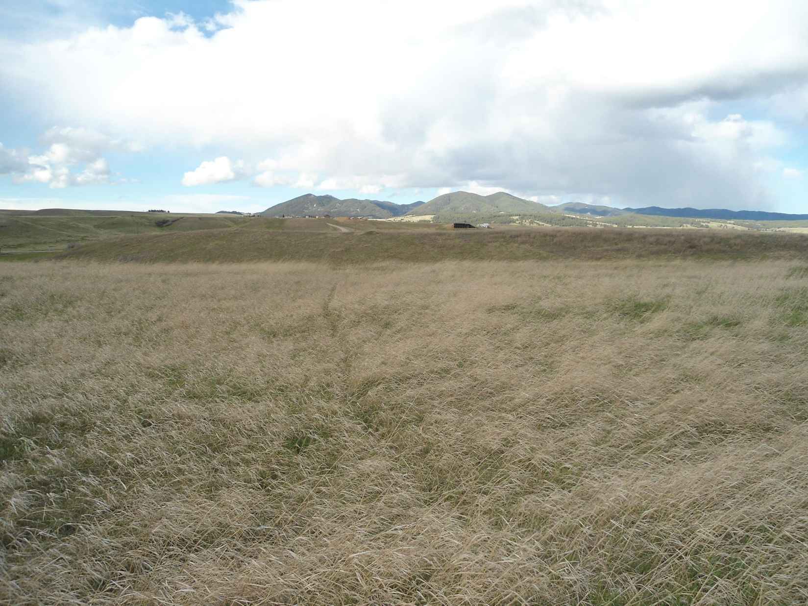 Lot 12b SHADOWS Loop RD  