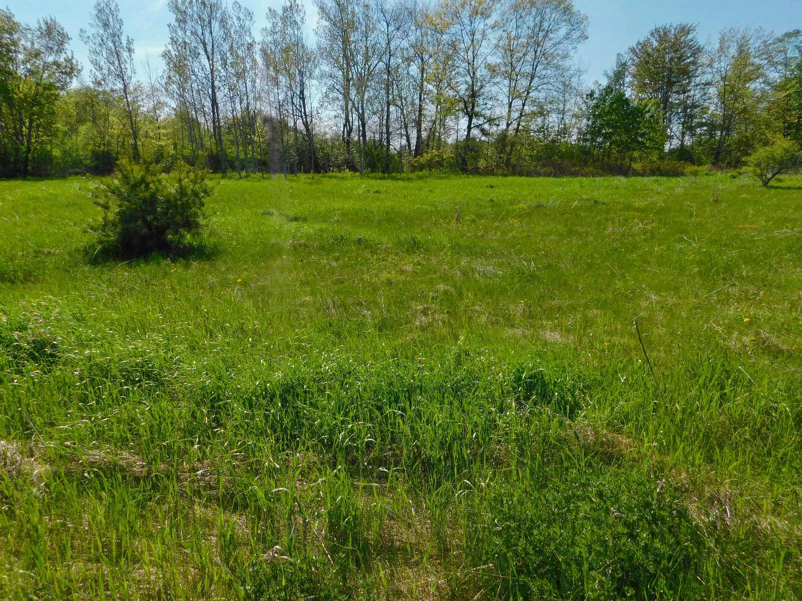 041-008 Mud Pond Rd  