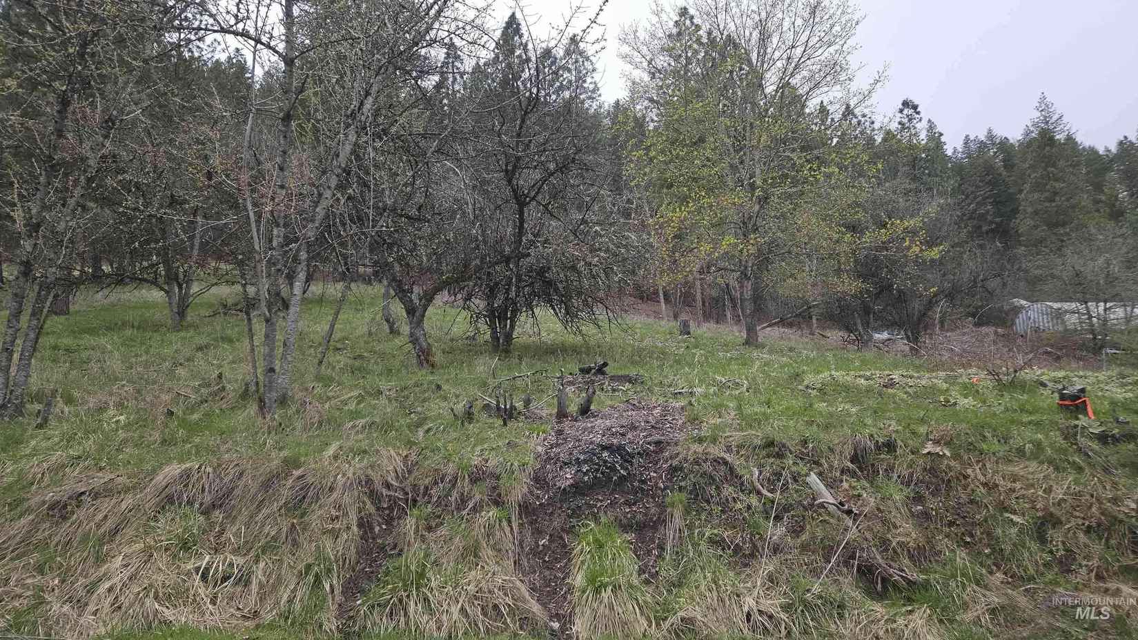 Tbd Pine St Blk 56 Lot 1  